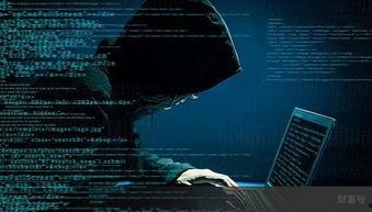 黑客最新爆料视频大全,视频大全深度解析