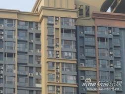 广安名门最新爆料,揭秘神秘事件背后的真相