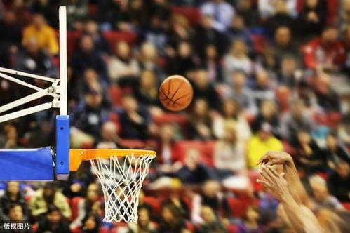 怎么看nba最新爆料,揭秘赛场背后的惊人真相
